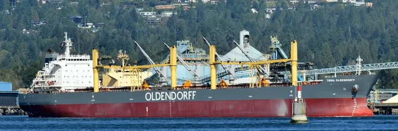 TRINA OLDENDORFF Bulk Carrier IMO 9642370 photo 4