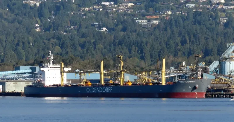 TRINA OLDENDORFF Bulk Carrier IMO 9642370 photo 7