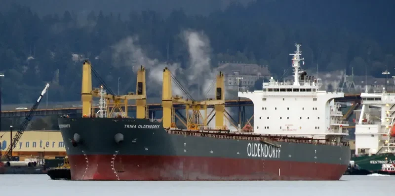 TRINA OLDENDORFF Bulk Carrier IMO 9642370 photo 8