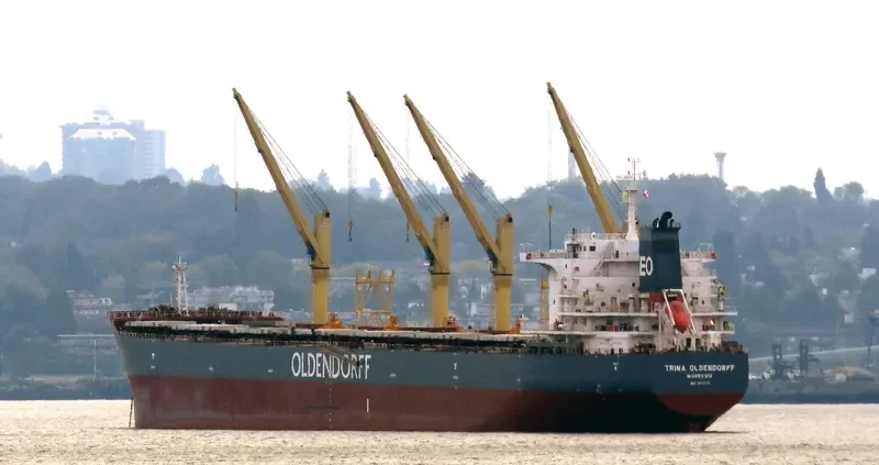 TRINA OLDENDORFF Bulk Carrier IMO 9642370 photo 10