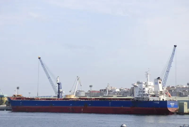 HERCULES Bulk Carrier IMO 9642382