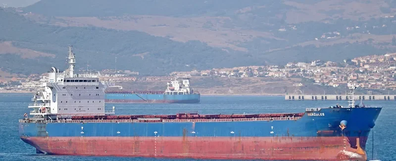 HERCULES Bulk Carrier IMO 9642382 photo 2