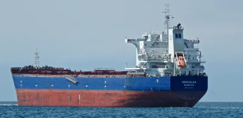 HERCULES Bulk Carrier IMO 9642382 photo 4