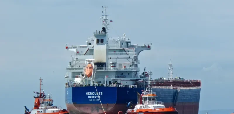 HERCULES Bulk Carrier IMO 9642382 photo 6