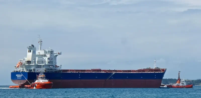 HERCULES Bulk Carrier IMO 9642382 photo 7