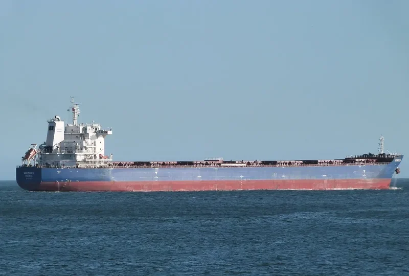 HERCULES Bulk Carrier IMO 9642382 photo 9