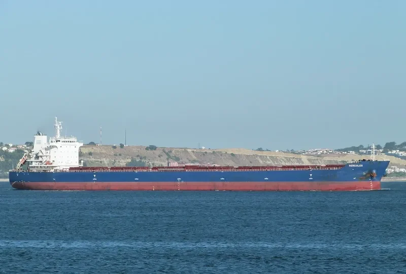 HERCULES Bulk Carrier IMO 9642382 photo 10