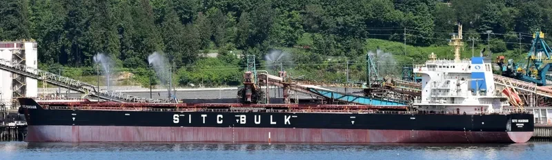 CHAILEASE BRIGHT Bulk Carrier IMO 9642485