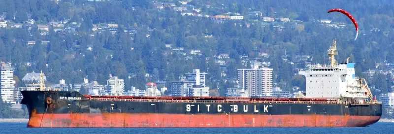 CHAILEASE BRIGHT Bulk Carrier IMO 9642485 photo 3