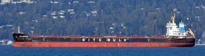 CHAILEASE BRIGHT Bulk Carrier IMO 9642485 photo 4