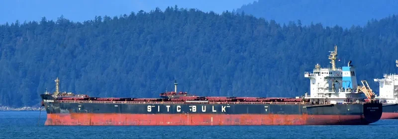 CHAILEASE BRIGHT Bulk Carrier IMO 9642485 photo 5