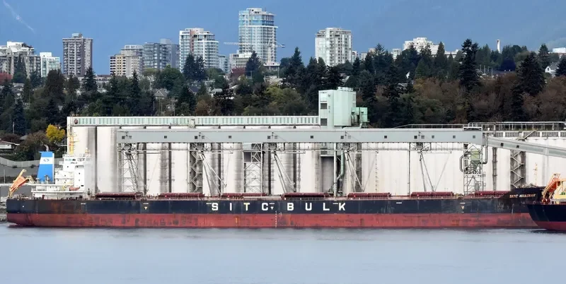 CHAILEASE BRIGHT Bulk Carrier IMO 9642485 photo 7