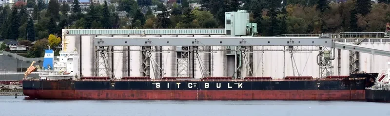 CHAILEASE BRIGHT Bulk Carrier IMO 9642485 photo 8