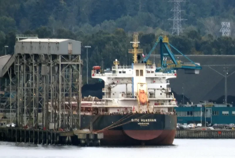 CHAILEASE BRIGHT Bulk Carrier IMO 9642485 photo 9