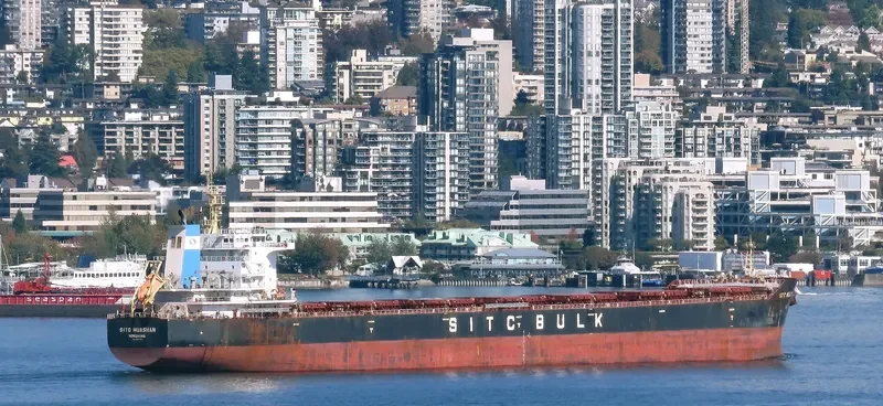 CHAILEASE BRIGHT Bulk Carrier IMO 9642485 photo 10