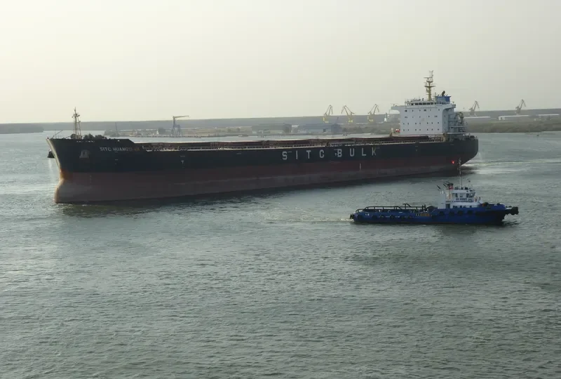 XIN DONG GUAN 14 Bulk Carrier IMO 9642497 photo 2