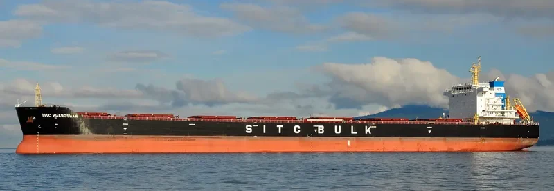 XIN DONG GUAN 14 Bulk Carrier IMO 9642497 photo 3