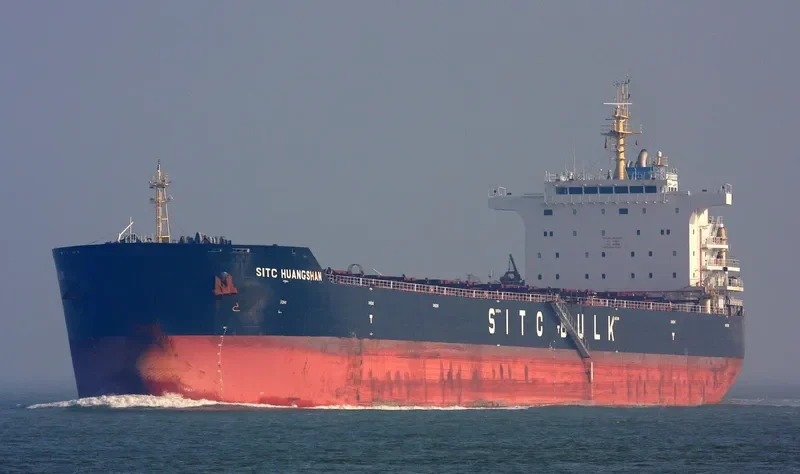XIN DONG GUAN 14 Bulk Carrier IMO 9642497 photo 4
