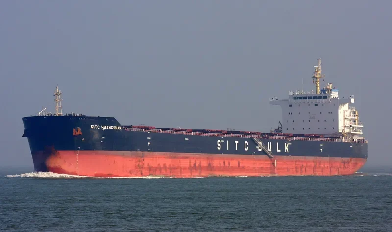 XIN DONG GUAN 14 Bulk Carrier IMO 9642497 photo 5