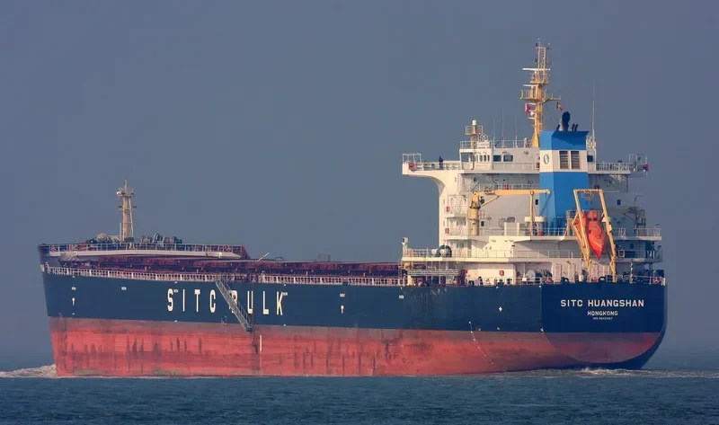 XIN DONG GUAN 14 Bulk Carrier IMO 9642497 photo 6