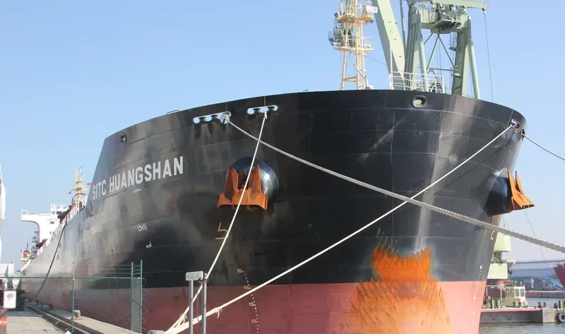 XIN DONG GUAN 14 Bulk Carrier IMO 9642497 photo 9