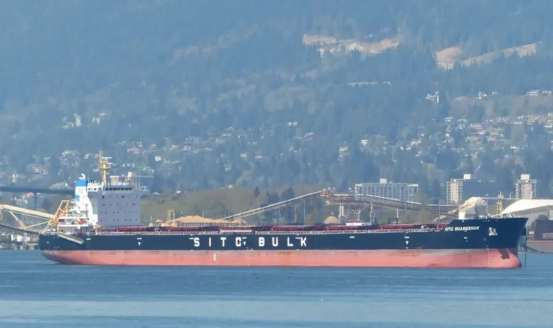 XIN DONG GUAN 14 Bulk Carrier IMO 9642497 photo 10