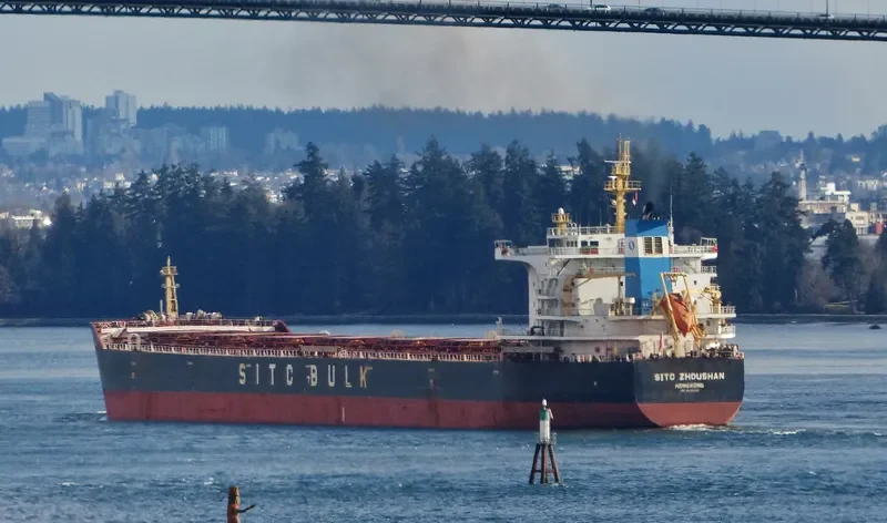 SITC ZHOUSHAN Bulk Carrier IMO 9642502 photo 8