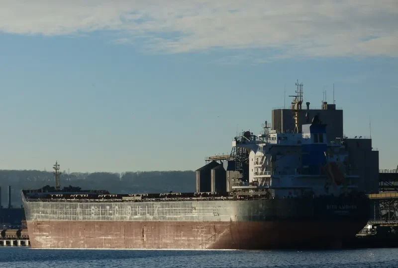 SITC LUSHAN Bulk Carrier IMO 9642514 photo 2
