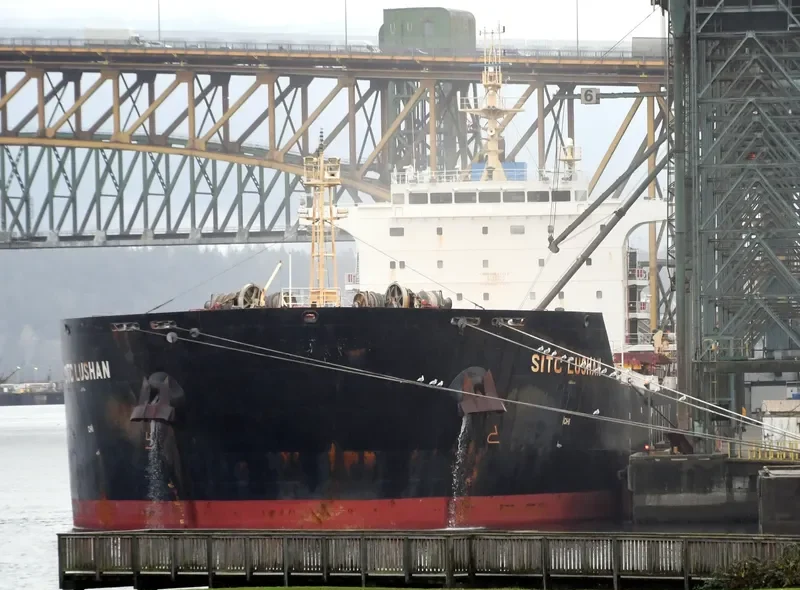 SITC LUSHAN Bulk Carrier IMO 9642514 photo 6