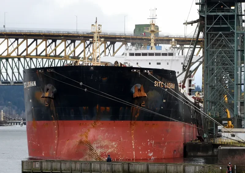 SITC LUSHAN Bulk Carrier IMO 9642514 photo 9