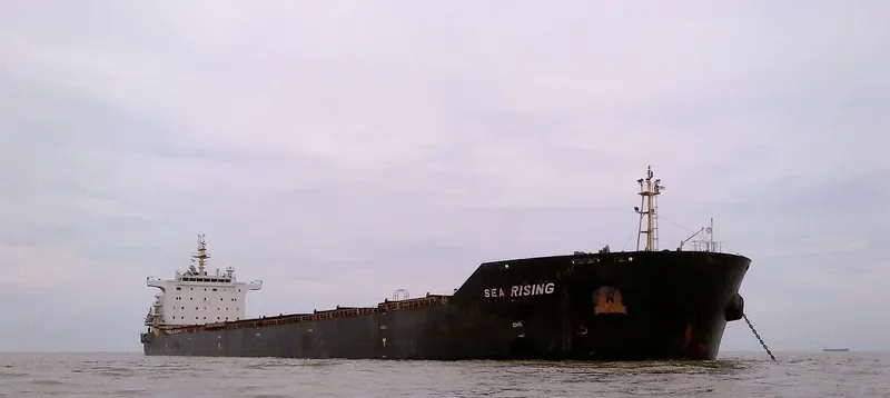 BULK BATAVIA Bulk Carrier IMO 9642526