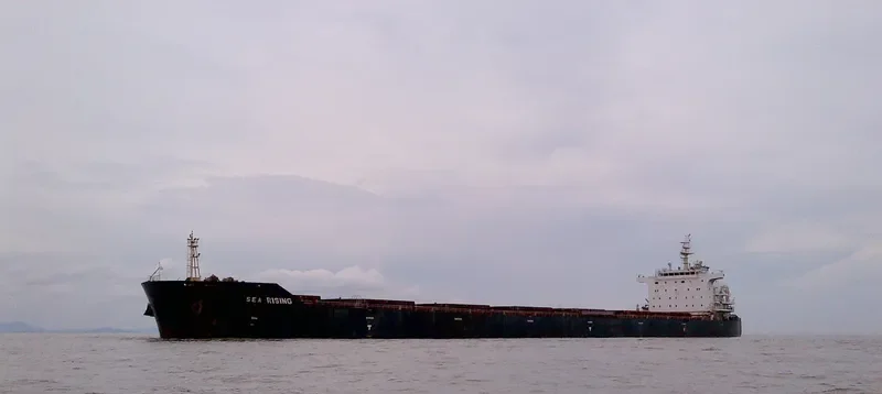 BULK BATAVIA Bulk Carrier IMO 9642526 photo 2