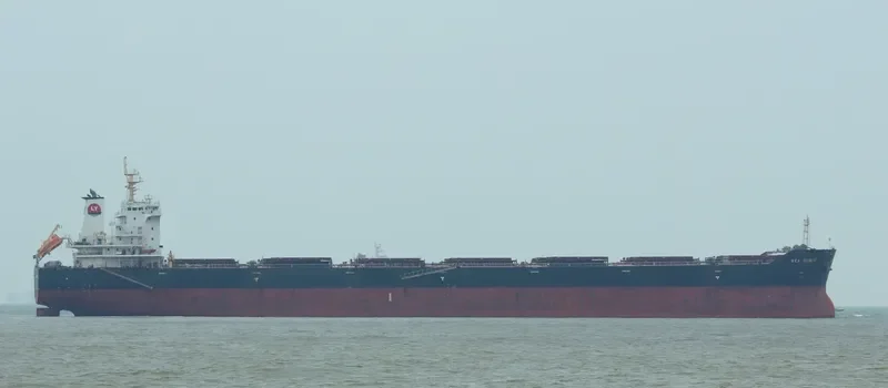 BULK BATAVIA Bulk Carrier IMO 9642526 photo 3