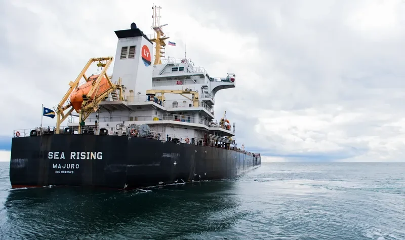 BULK BATAVIA Bulk Carrier IMO 9642526 photo 4