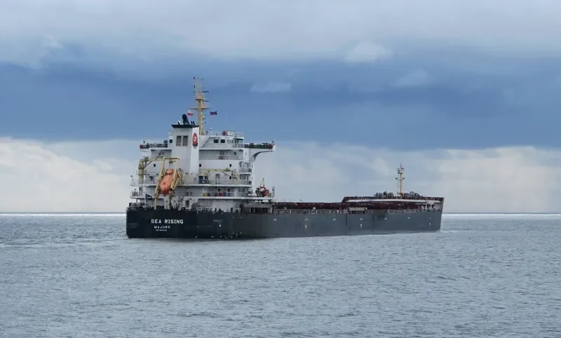 BULK BATAVIA Bulk Carrier IMO 9642526 photo 5