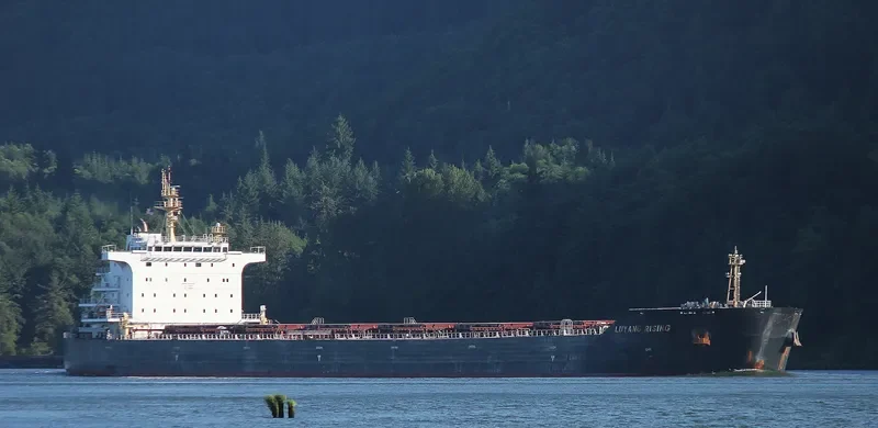BULK BATAVIA Bulk Carrier IMO 9642526 photo 8