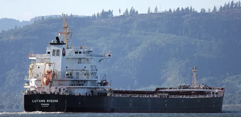 BULK BATAVIA Bulk Carrier IMO 9642526 photo 9