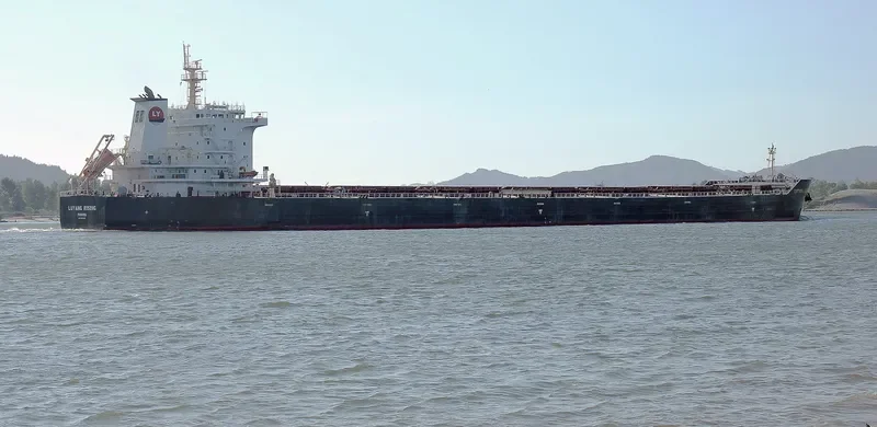 BULK BATAVIA Bulk Carrier IMO 9642526 photo 10