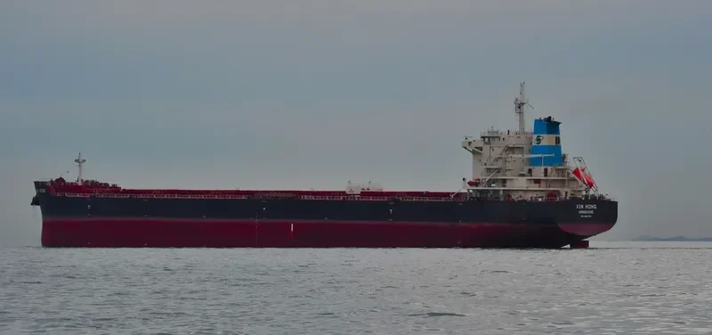XIN HONG Bulk Carrier IMO 9642796