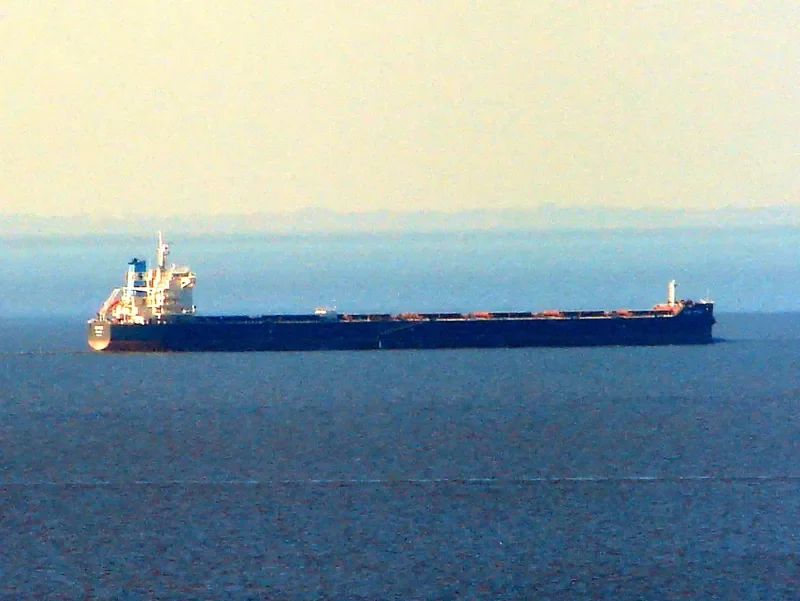 XIN HONG Bulk Carrier IMO 9642796 photo 3