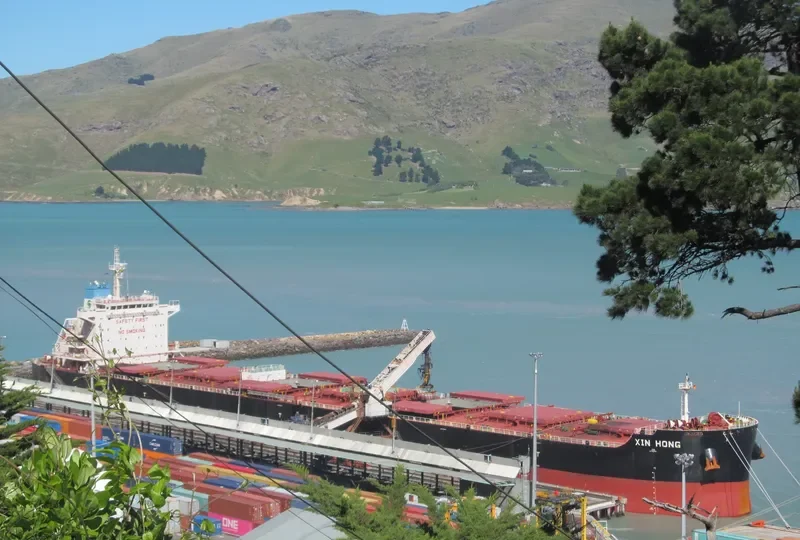 XIN HONG Bulk Carrier IMO 9642796 photo 4