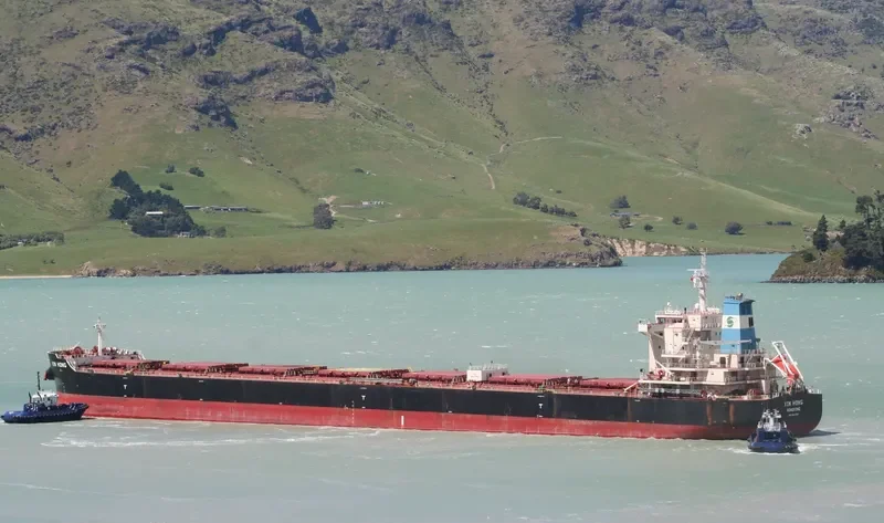 XIN HONG Bulk Carrier IMO 9642796 photo 5