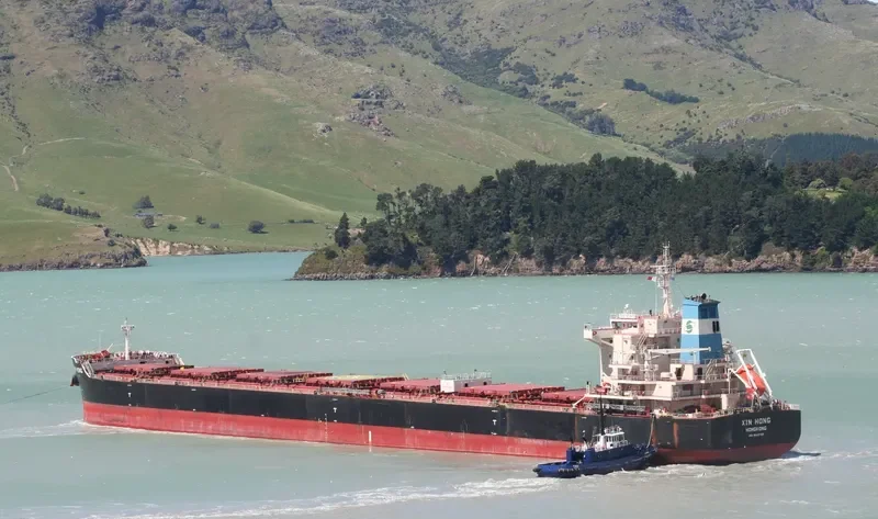 XIN HONG Bulk Carrier IMO 9642796 photo 6