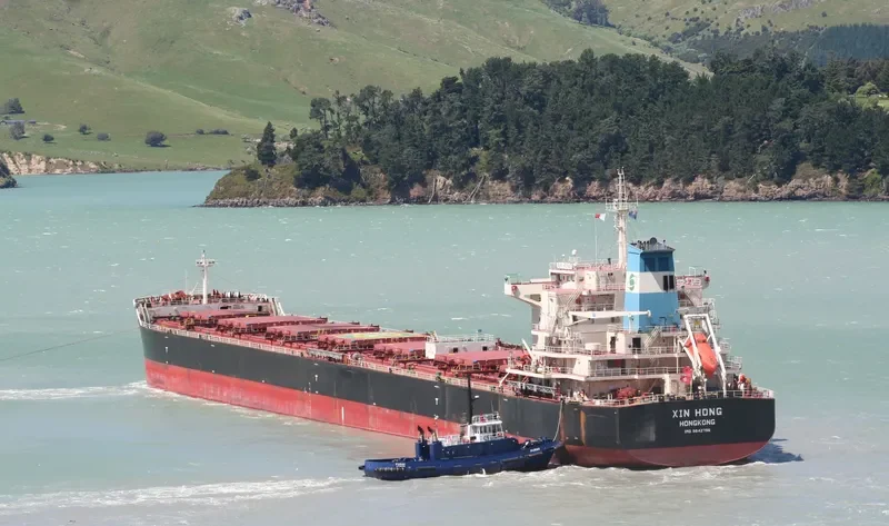 XIN HONG Bulk Carrier IMO 9642796 photo 7