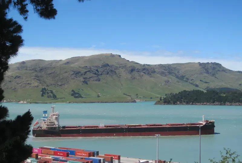 XIN HONG Bulk Carrier IMO 9642796 photo 8
