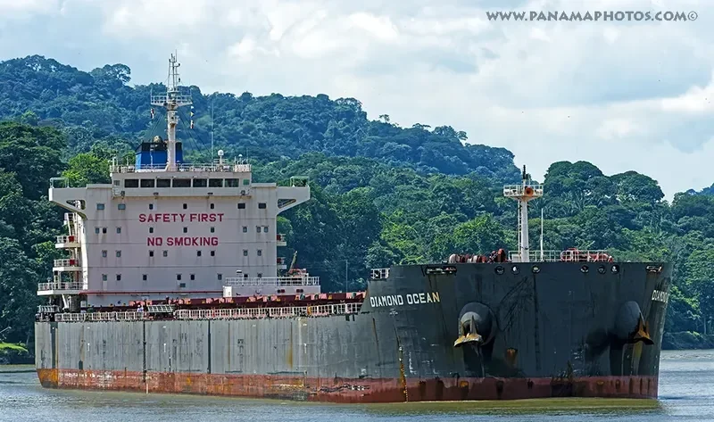 OCEAN THYME Bulk Carrier IMO 9642801