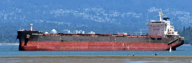 OCEAN THYME Bulk Carrier IMO 9642801 photo 3