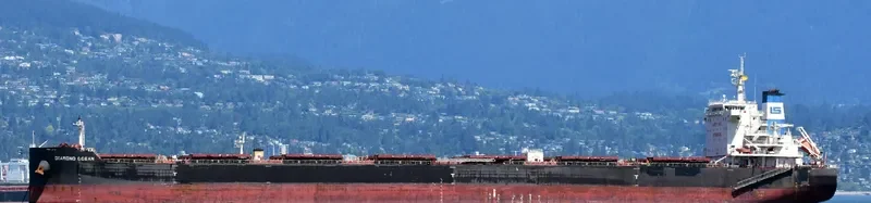 OCEAN THYME Bulk Carrier IMO 9642801 photo 4