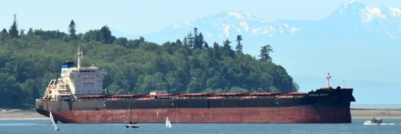 OCEAN THYME Bulk Carrier IMO 9642801 photo 5