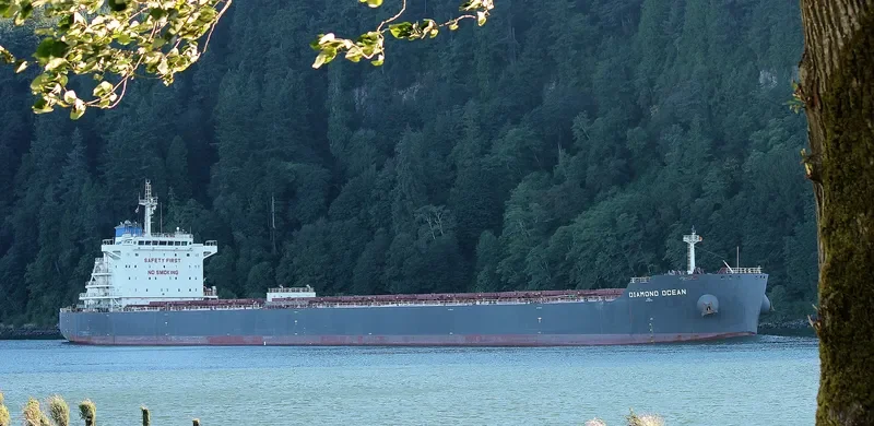 OCEAN THYME Bulk Carrier IMO 9642801 photo 6